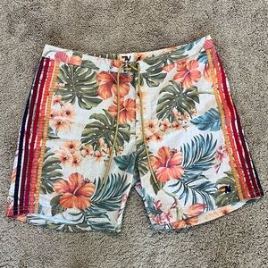 Aviator Nation Board shorts